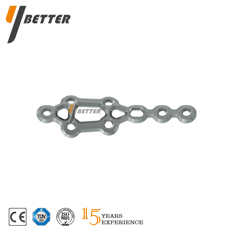 第一跖楔融合板