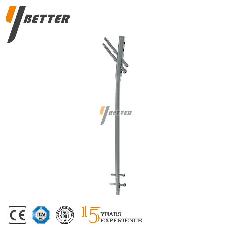 股骨帶鎖髓內(nèi)釘（3合1）