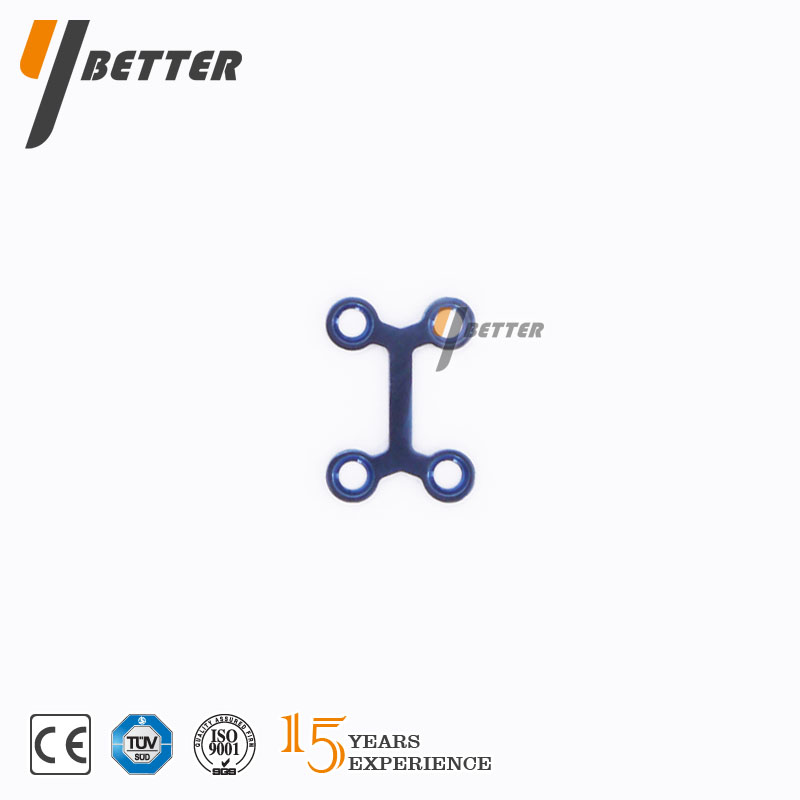 I 型頜面板普通