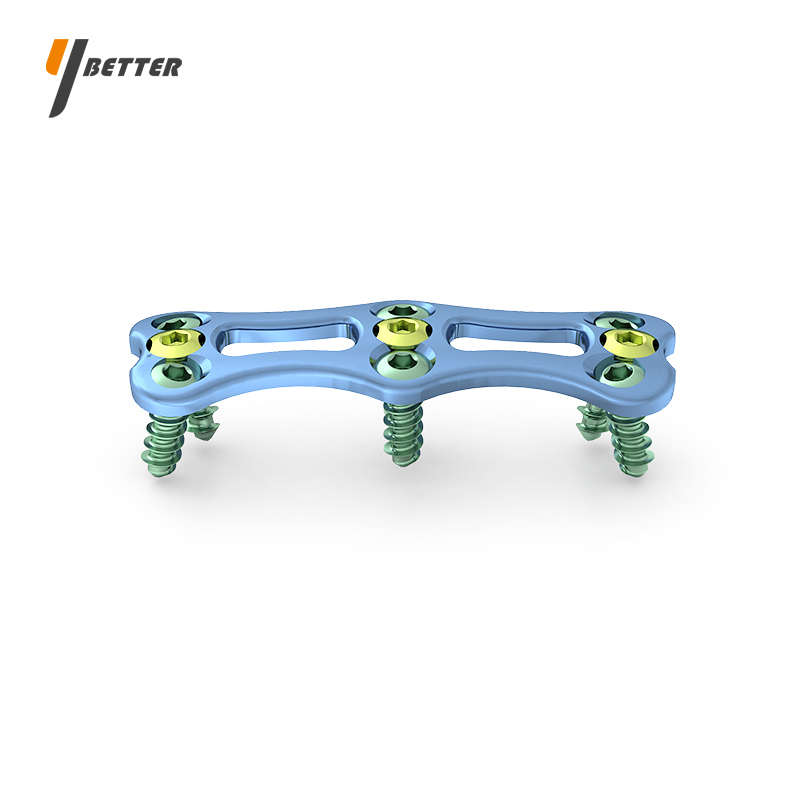 頸椎前路接骨板